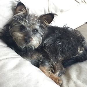 Meet your Posher, Alejandro